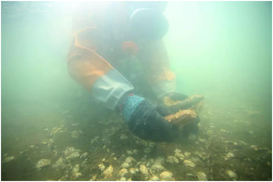 202110250820072569.png 202110250820072569.png